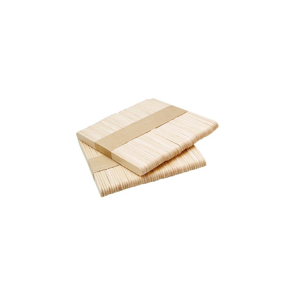 SPATULES  VISAGE PM  x 250 