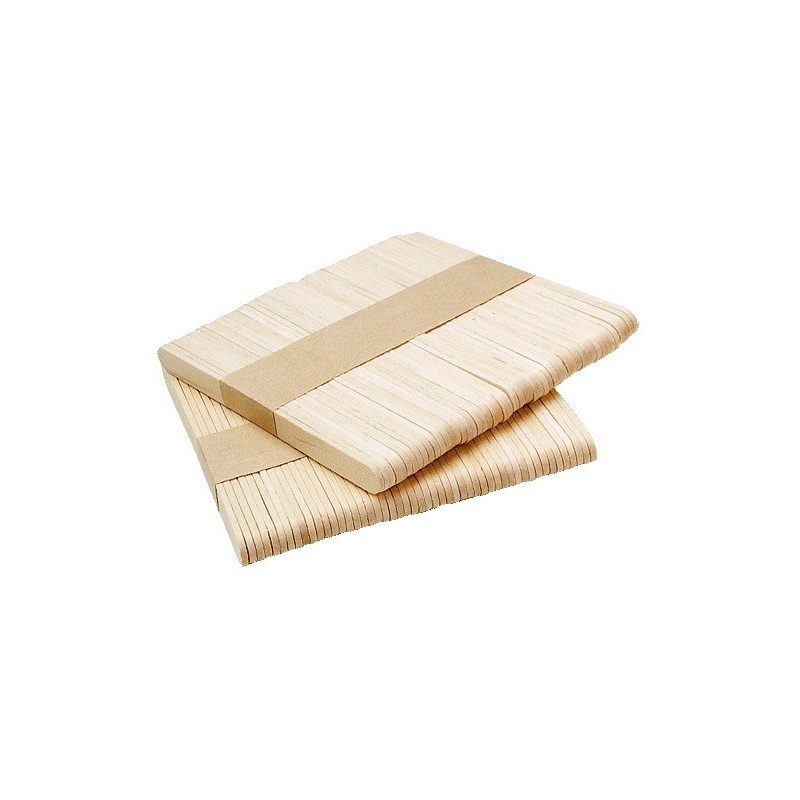 SPATULES  VISAGE PM  x 250 